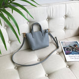 The Leather Mini Tote Bag Leather Tote Crossbody Bag grey Leather Mini Crossbody Tote Ladies